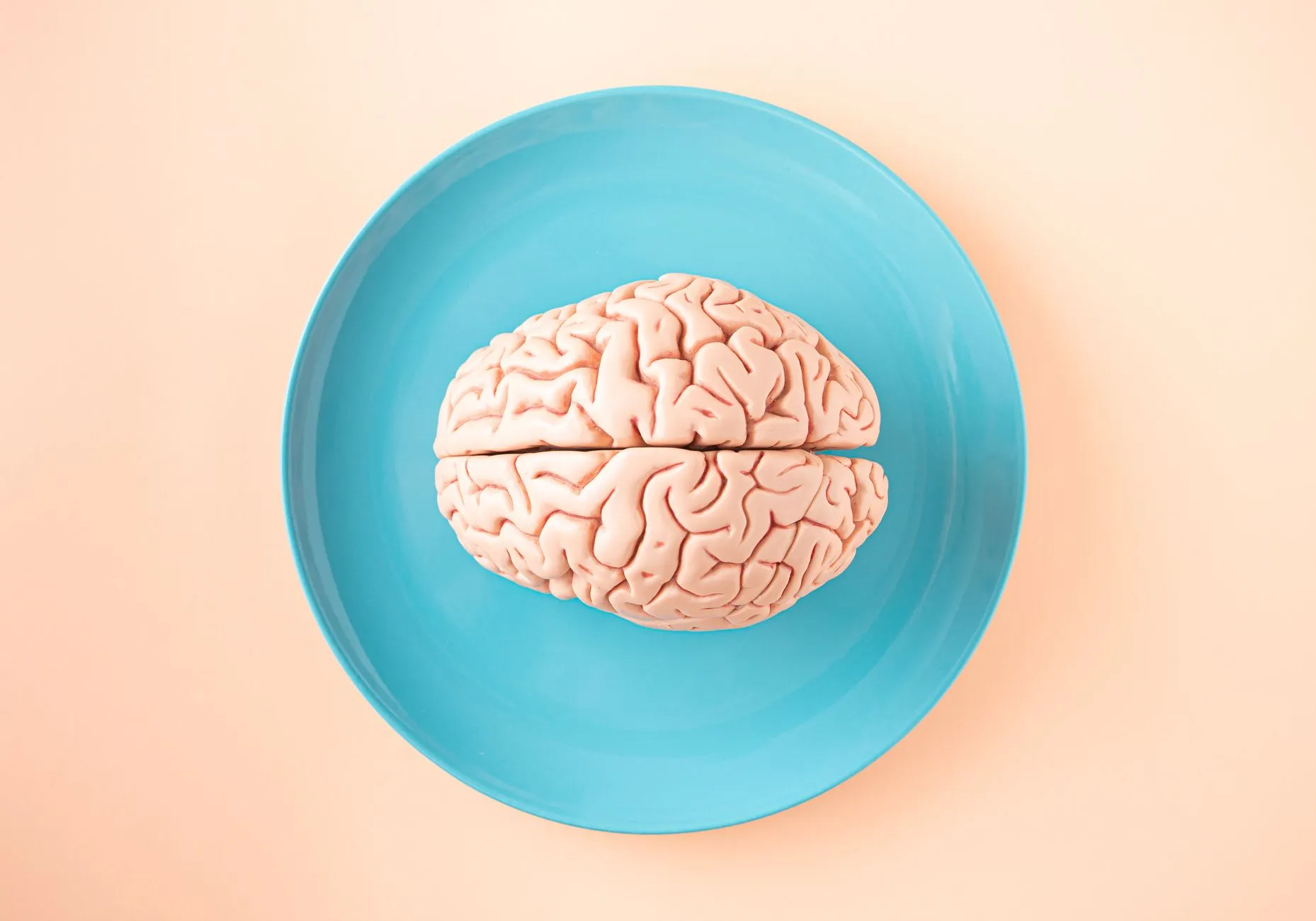 Modelo anatómico del cerebro sobre un escritorio, referido a las causas de los trastornos psicológicos.